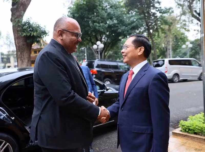 Le vice-Premier ministre et ministre des Affaires étrangères, Bui Thanh Son, et Mahmoud Thabit Kombo, ministre des Affaires étrangères et de la Coopération est-africaine de Tanzanie. Photo : VNA.