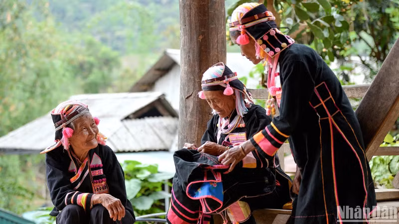 Le costume traditionnel des femmes Ha Nhi à Pa Pang se distingue par une dominante d’indigo foncé, rehaussée de broderies colorées sur un tissu de lin tissé à la main. Le costume traditionnel des femmes Ha Nhi à Pa Pang se distingue par une dominante d’indigo foncé, rehaussée de broderies colorées sur un tissu de lin tissé à la main.