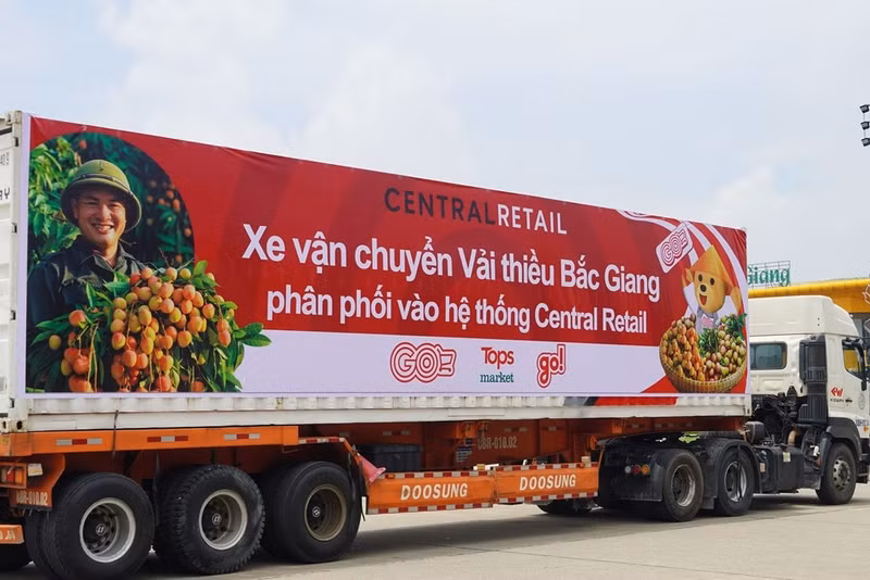Un camion chargé de litchis de Luc Ngan (Bac Giang) prêt pour la distribution. Photo : Central Retail.