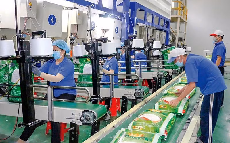 Dans l'usine de riz de la société par actions d'agriculture high-tech Trung An à Can Tho. Photo : NDEL.
