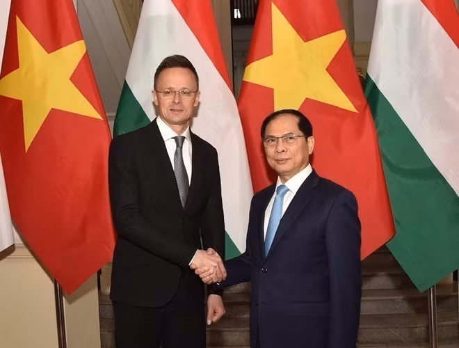 Le vice-PM et ministre des AE Bui Thanh Son (droite) et le ministre hongrois des AE et du Commerce extérieur Szijjártó Péter. Photo: VNA