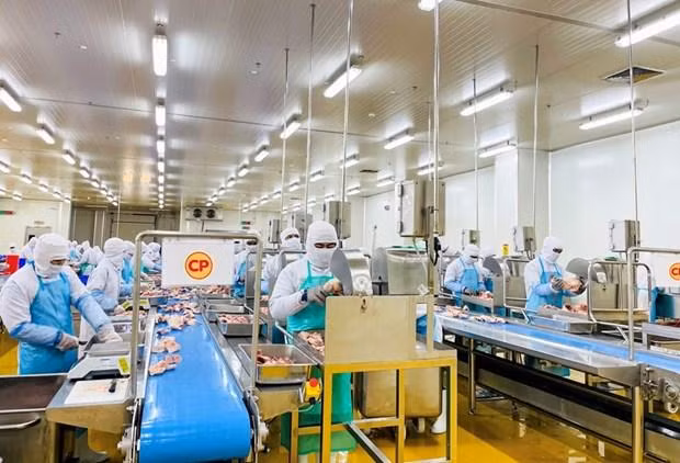 À l'intérieur d'un usine de transformation viande de poulet de CPV Food. Photo : VNA.