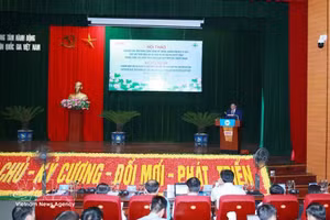 Ha Dinh Huong, directeur général adjoint permanent du VNMAC, s'exprime lors du séminaire. Photo: VNA