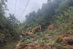 Les pluies persistantes ont provoqué des inondations, des glissements de terrain et d’importantes perturbations à Phu Tho et Thanh Hoa. Photo : VNA.