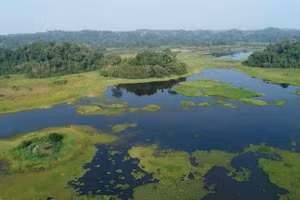 La 2e version de « Vietnam Wild Live » ouvre la voie à l'exploration du Parc national de Cat Tien. Photo : VTV.