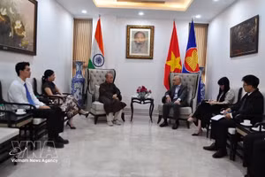 Rencontre de l’ambassadeur du Vietnam en Inde avec des représentants de la communauté vietnamienne dans ce pays. Photo: VNA