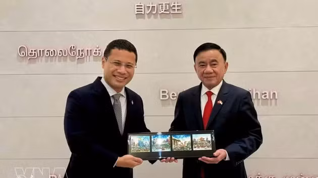 Le membre du Bureau politique et permanent du Secrétariat du CC du PCV Tran Cam Tu (droite) rencontre le président du Parti d’action populaire de Singapour et ministre de l’Éducation, Desmond Lee. Photo : VNA.