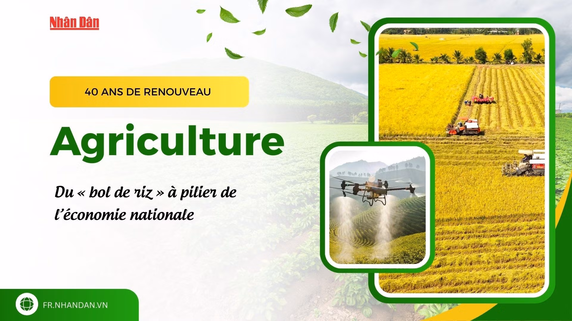 L’agriculture vietnamienne après 40 ans de Renouveau : du « bol de riz » à pilier de l’économie nationale