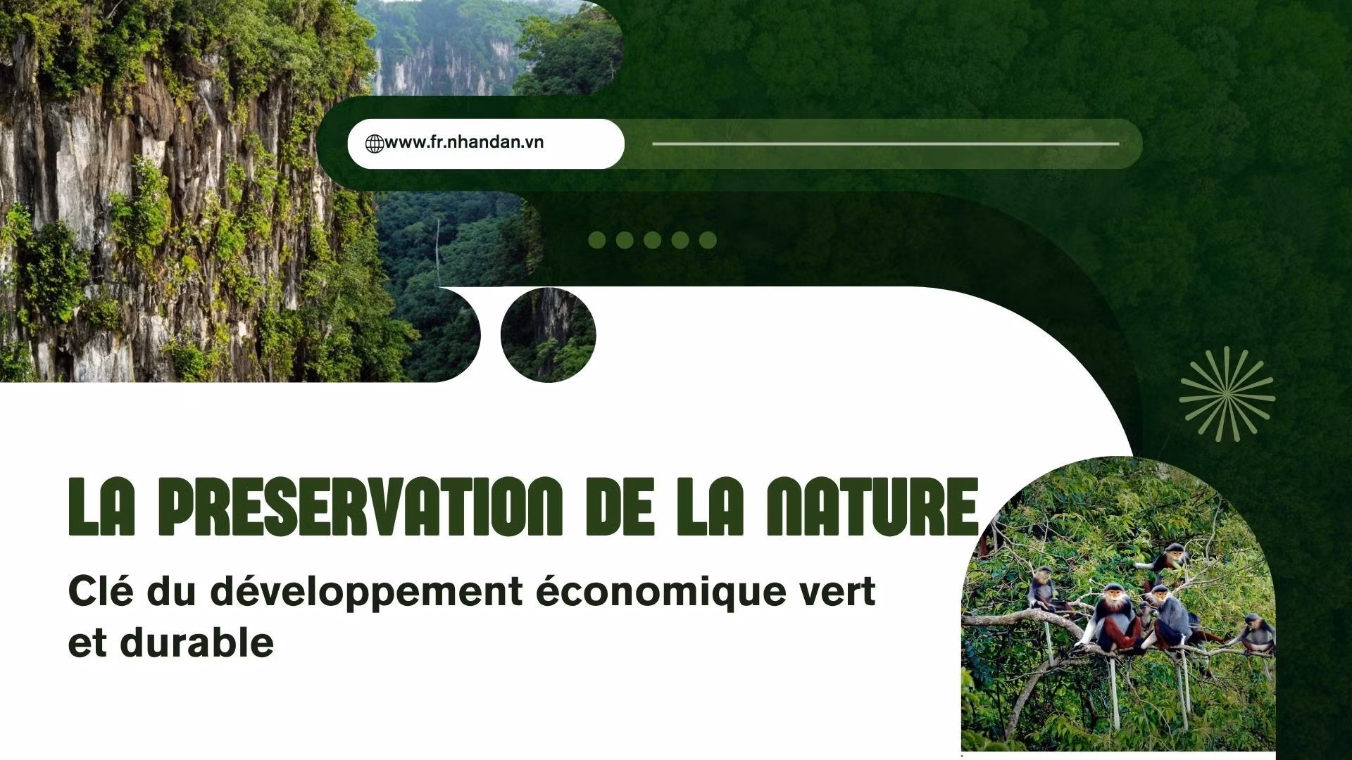 La préservation de la nature, clé du développement économique vert et durable