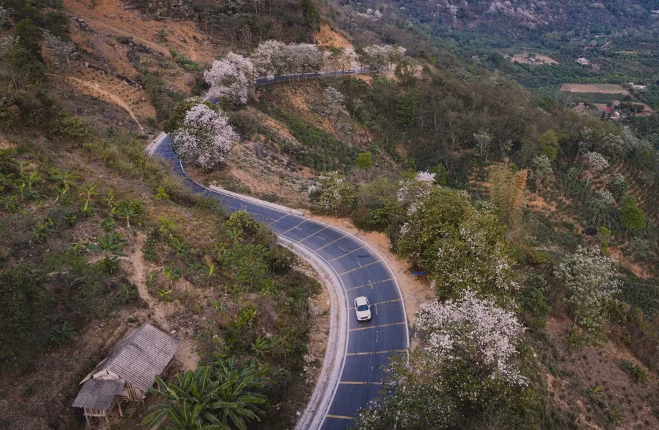 hb7.jpg