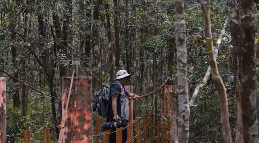 Au parc national de Bach Ma, préserver la nature tout en développant l'écotourisme ảnh 13