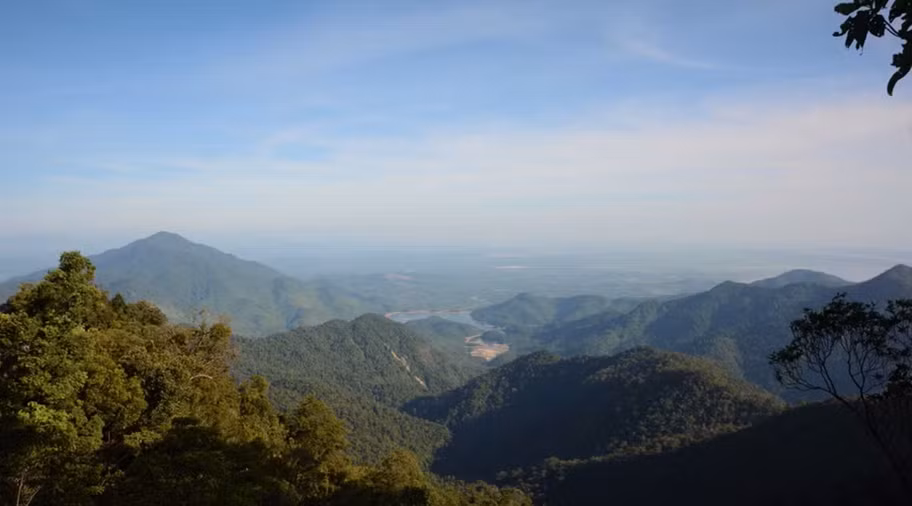 Au parc national de Bach Ma, préserver la nature tout en développant l'écotourisme ảnh 6