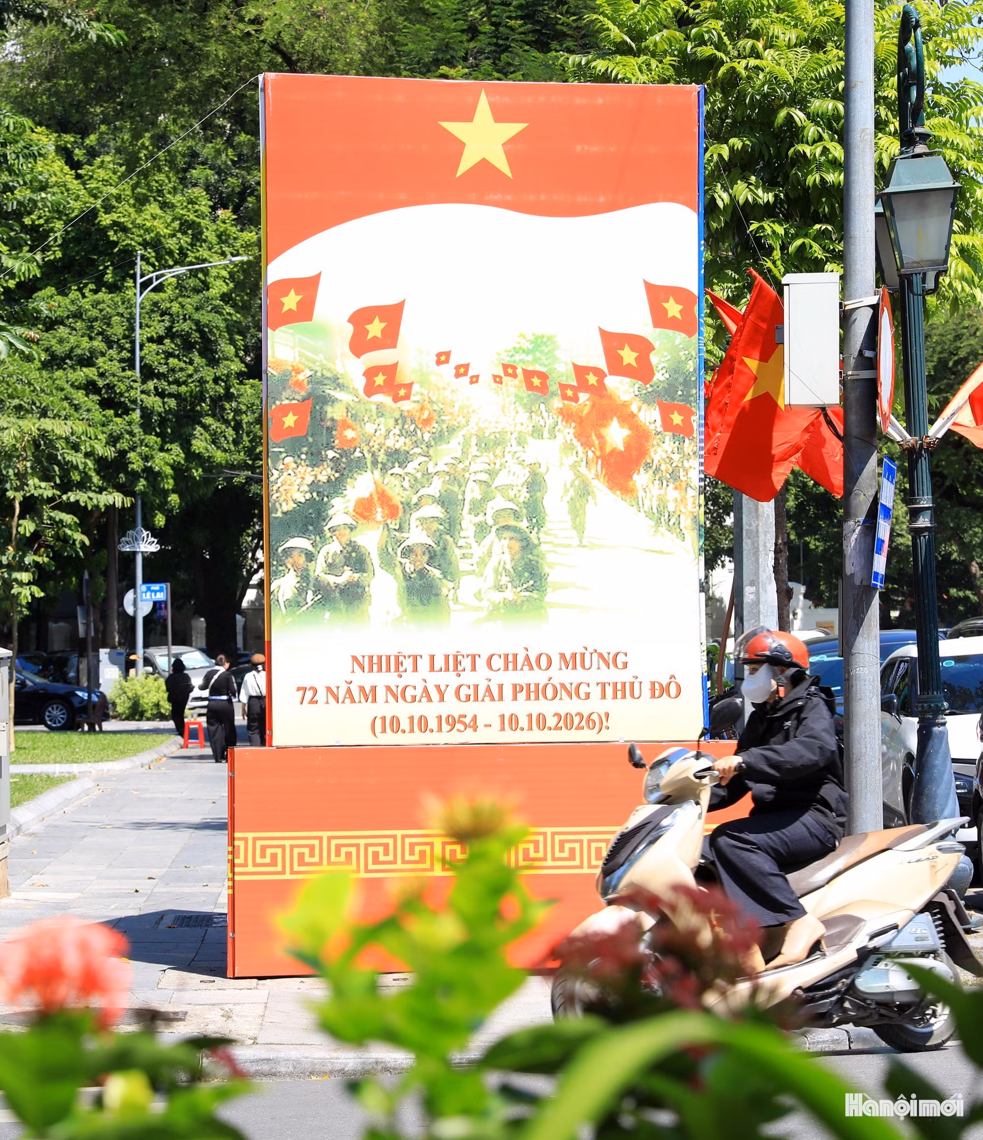 w-duong-pho-ruc-ro-co-hoa-6.jpg