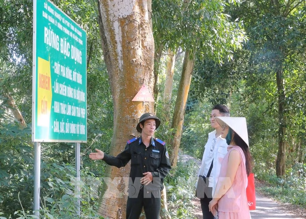 094139-nhung-nguoi-giu-la-phoi-xanh-tra-su-noi-dau-nguon-bien-gioi-tay-nam.jpg