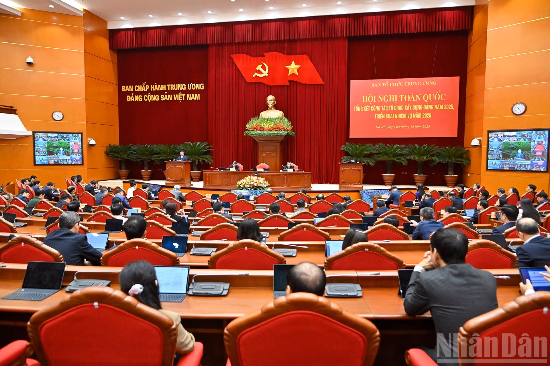 image-8.jpg