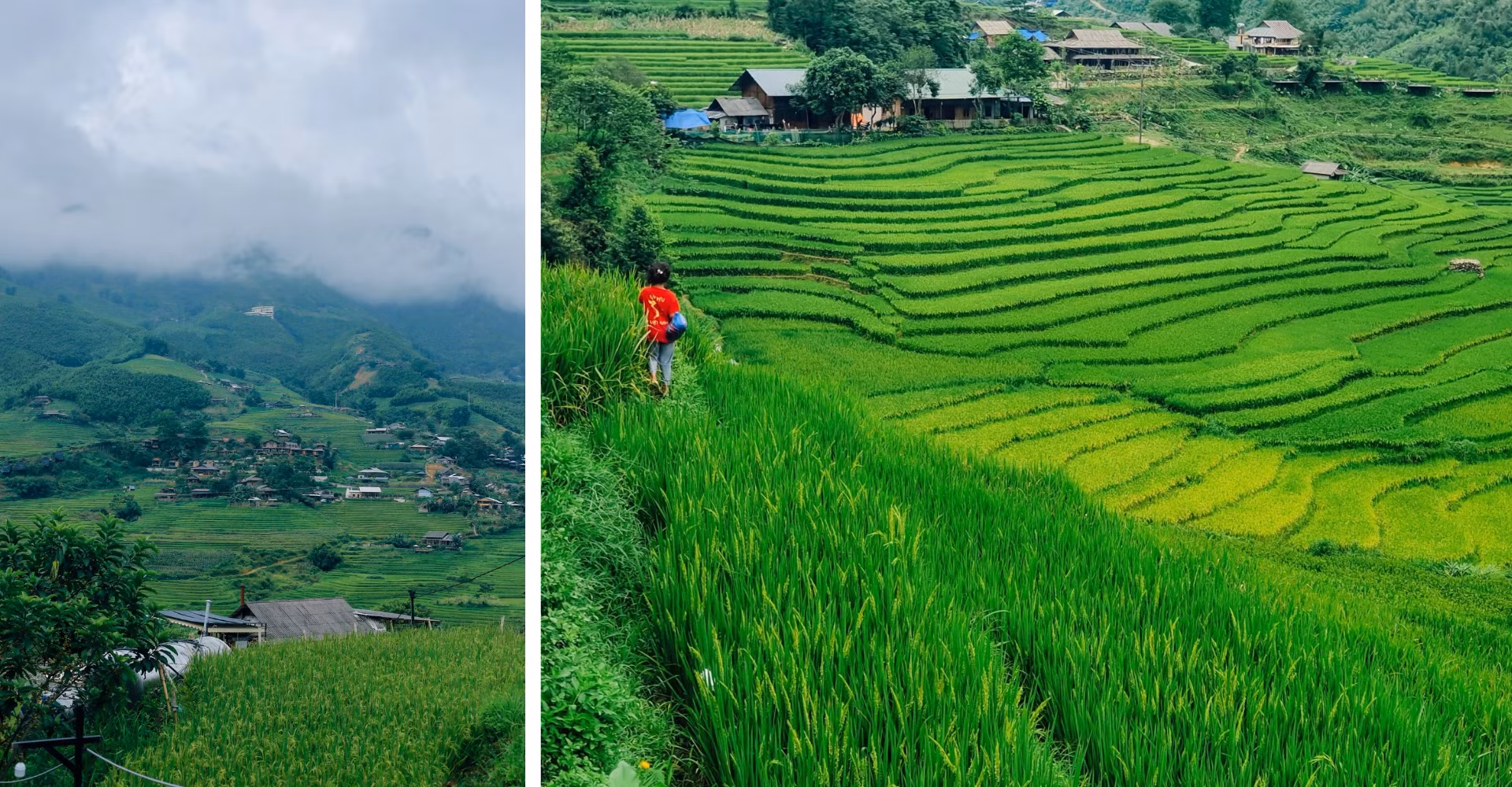 thiet-ke-chua-co-ten-3.png
