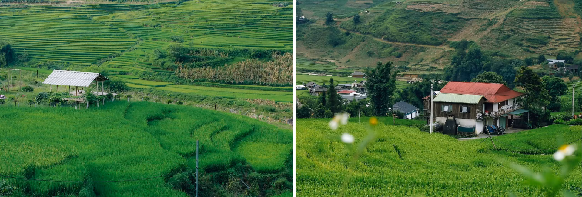 thiet-ke-chua-co-ten-8.png