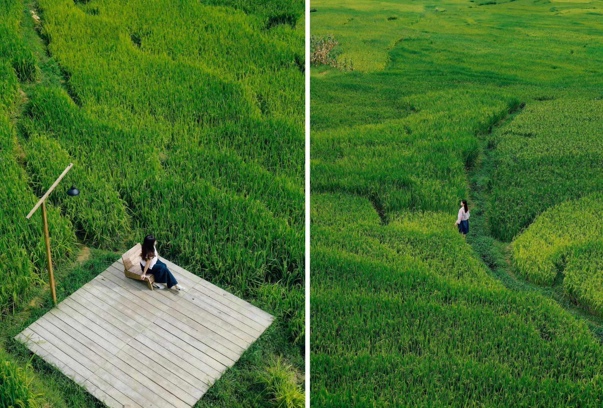 thiet-ke-chua-co-ten-1.png