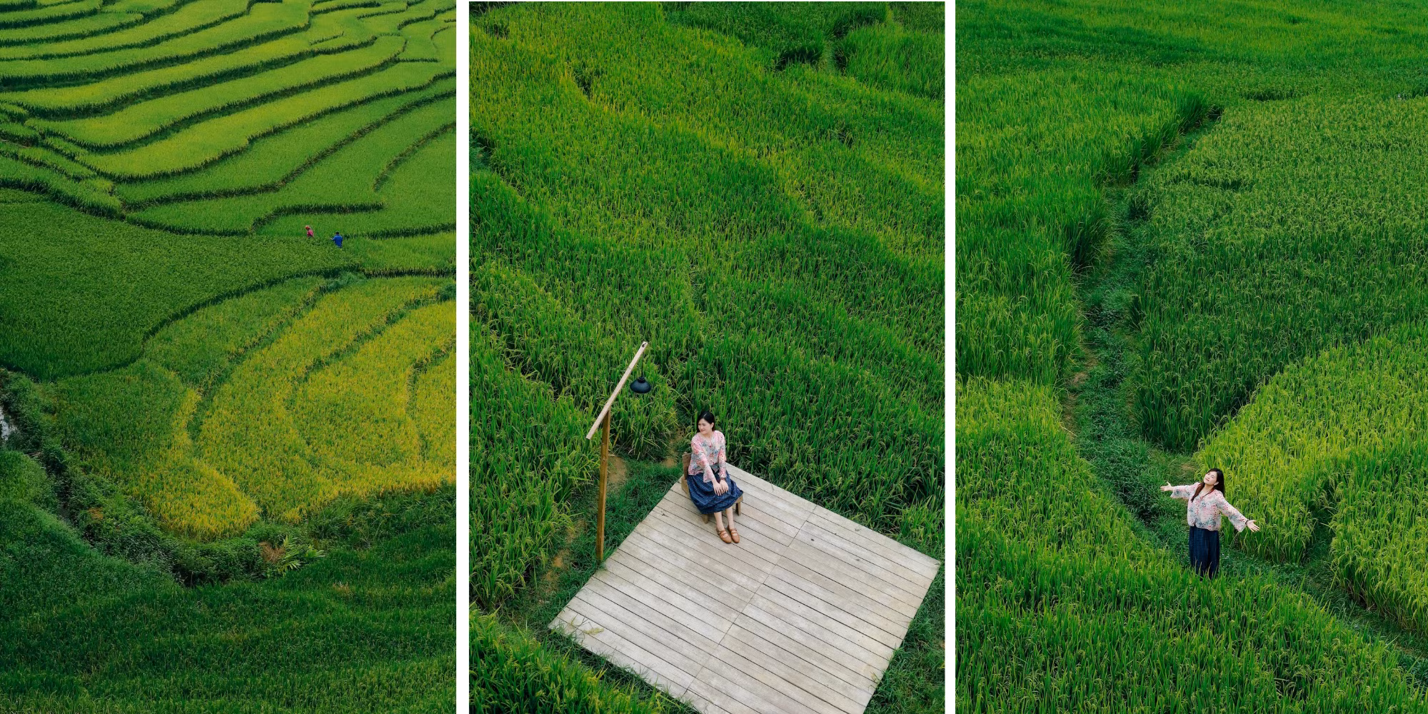 thiet-ke-chua-co-ten-6.png