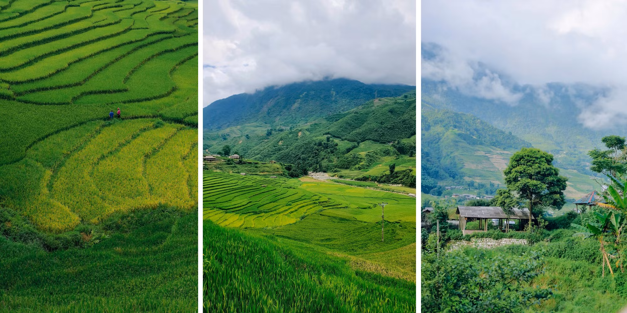 thiet-ke-chua-co-ten-5.png