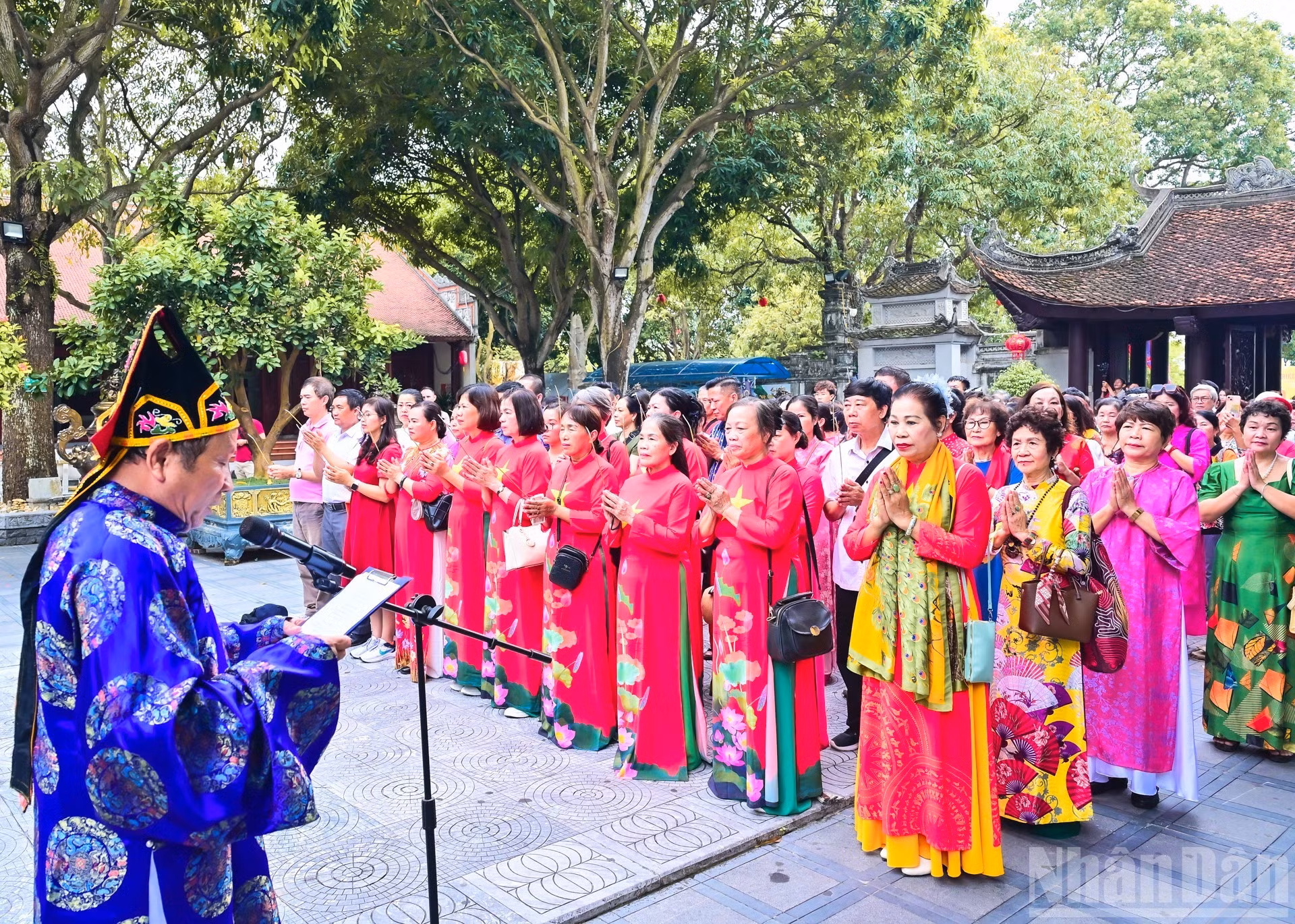 image-11.jpg