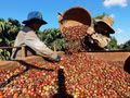 Le commerce Vietnam-Inde a dépassé 10 milliards de dollars au premier semestre 2026. Photo : VNA.