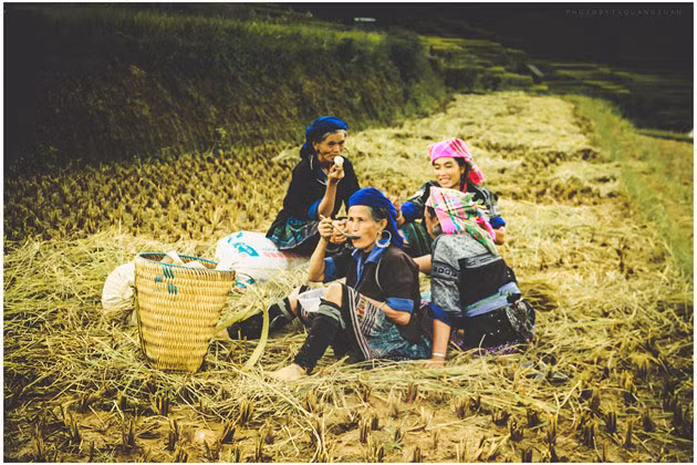 Le bonheur familial simple dans différentes régions du Vietnam ảnh 10