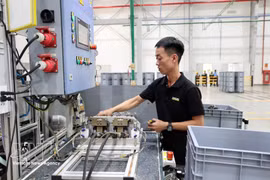 Dans une usine du groupe allemand Kärcher à Da Nang. Photo : VNA.