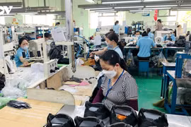 Les entreprises privées sont passées du statut de « moteur clé » à celui de pilier de la croissance. Photo : VOV.