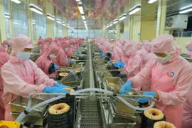 La crevette reste le principal moteur de la croissance, tout en étant le produit le plus exposé à la concurrence. Photo : VOV.