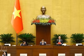 Le vice-président de l’Assemblée nationale, Nguyên Khac Dinh, s’exprime lors de la deuxième session de la 16e législature. Photo : VNA.