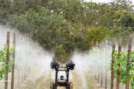 Modèle d’agriculture de haute technologie dans la province du Guangdong (Chine). Photo : VNA. 