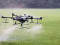 Dans la province d'An Giang, les agriculteurs utilisent des drones pour pulvériser des pesticides, ce qui leur permet de réaliser des économies de temps, d'argent et d'efforts. Photo : VNA. 