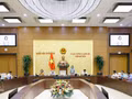 La vice-présidente de l'Assemblée nationale, Nguyên Thi Thanh, s’exprime devant le Comité permanent de l’Assemblée nationale. Photo : VNA. 