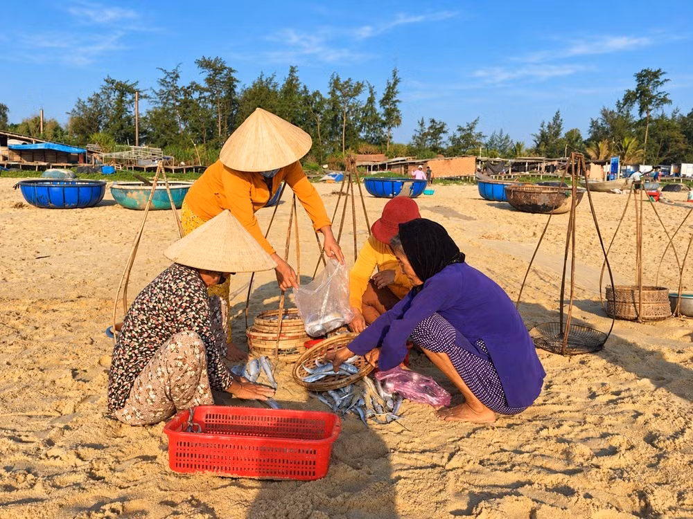 Des femmes échangent et choisissent des produits de la mer sur le marché installé à même le sable. Photo : VHO.