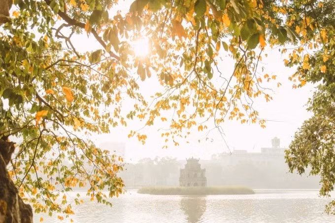 Paysage de feuilles dorées au lac Hoan Kiem début septembre. Photo : Nguyen My Linh.