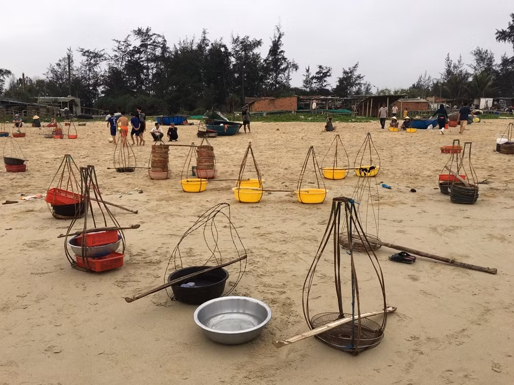 Des palanches, des bassines et des paniers de poissons sont disposés sur le sable, formant un marché à ciel ouvert au bord de la mer. Les vendeuses du marché de Binh Minh appellent familièrement leur emplacement leur « étal ». Photo : VHO.