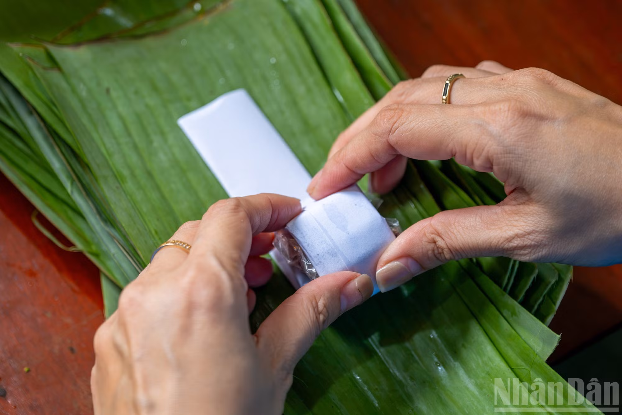 Viennent ensuite trois à quatre couches de feuilles de bananier xiêm, disposées alternativement dans le sens horizontal et vertical et serrées fermement. Les feuilles enveloppent ainsi entièrement le nem, lui permettant de prendre, une fois fermenté, leur agréable parfum. Photo : NDEL.