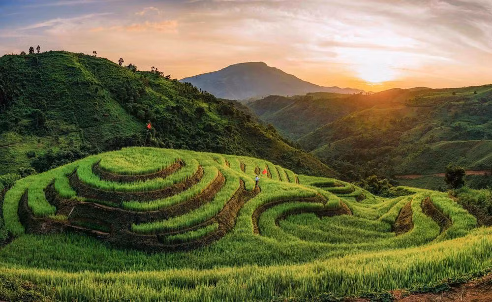 Vue d’ensemble des rizières en terrasses du hameau de Phu Long B, commune de Pu Nhi, province de Dien Bien, qui épousent les flancs des collines au cœur du paysage montagneux des hautes terres. Photo : VNA