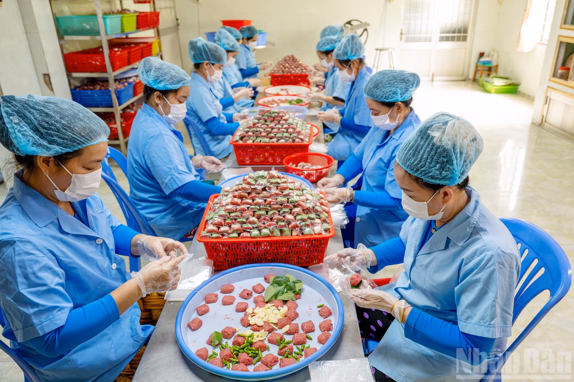 Dang Thi Ngoc Thuy, propriétaire de l’établissement de fabrication de nem Hoang Khanh (commune de Lai Vung), indique que le choix des matières premières constitue l’étape la plus importante dans la fabrication du nem aigre. Photo : NDEL.