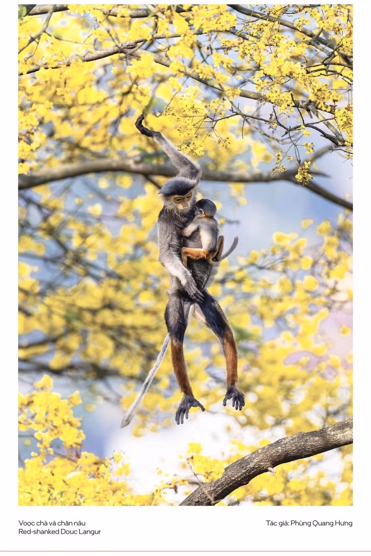 4-11zon.jpg