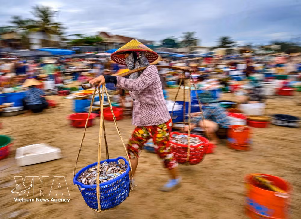 Bien plus qu'un simple lieu de commerce de fruits de mer, le marché aux poissons de Tam Tien reflète aussi de manière vivante la vie de la communauté côtière. Photo: VNA
