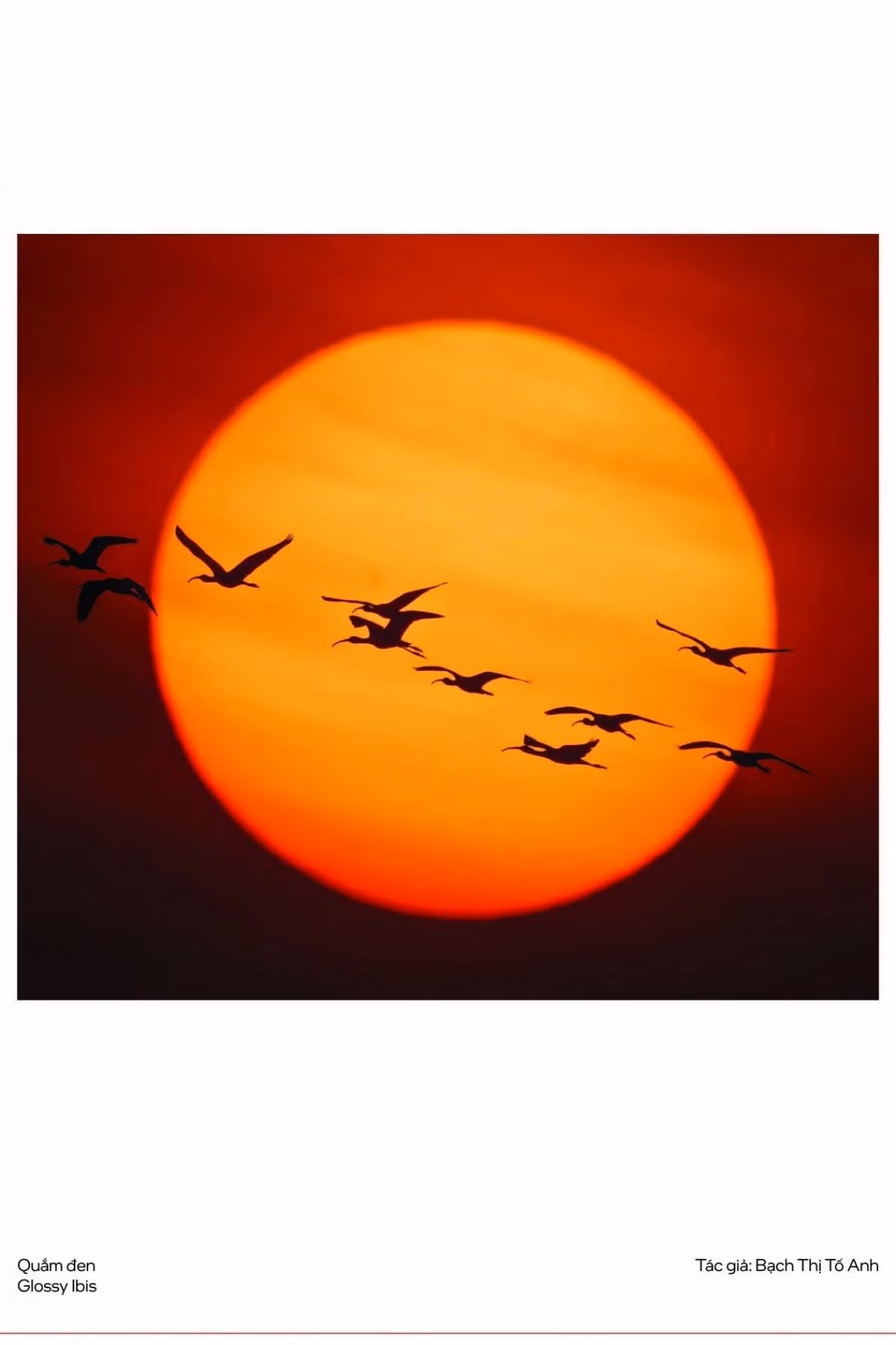 10-11zon.jpg