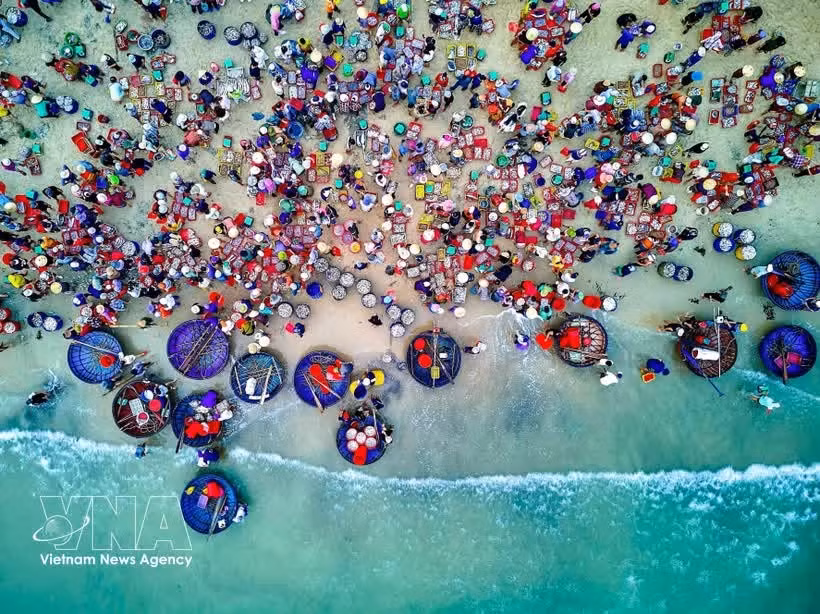 Le marché aux poissons de Tam Tien est animé. Photo : VNA.