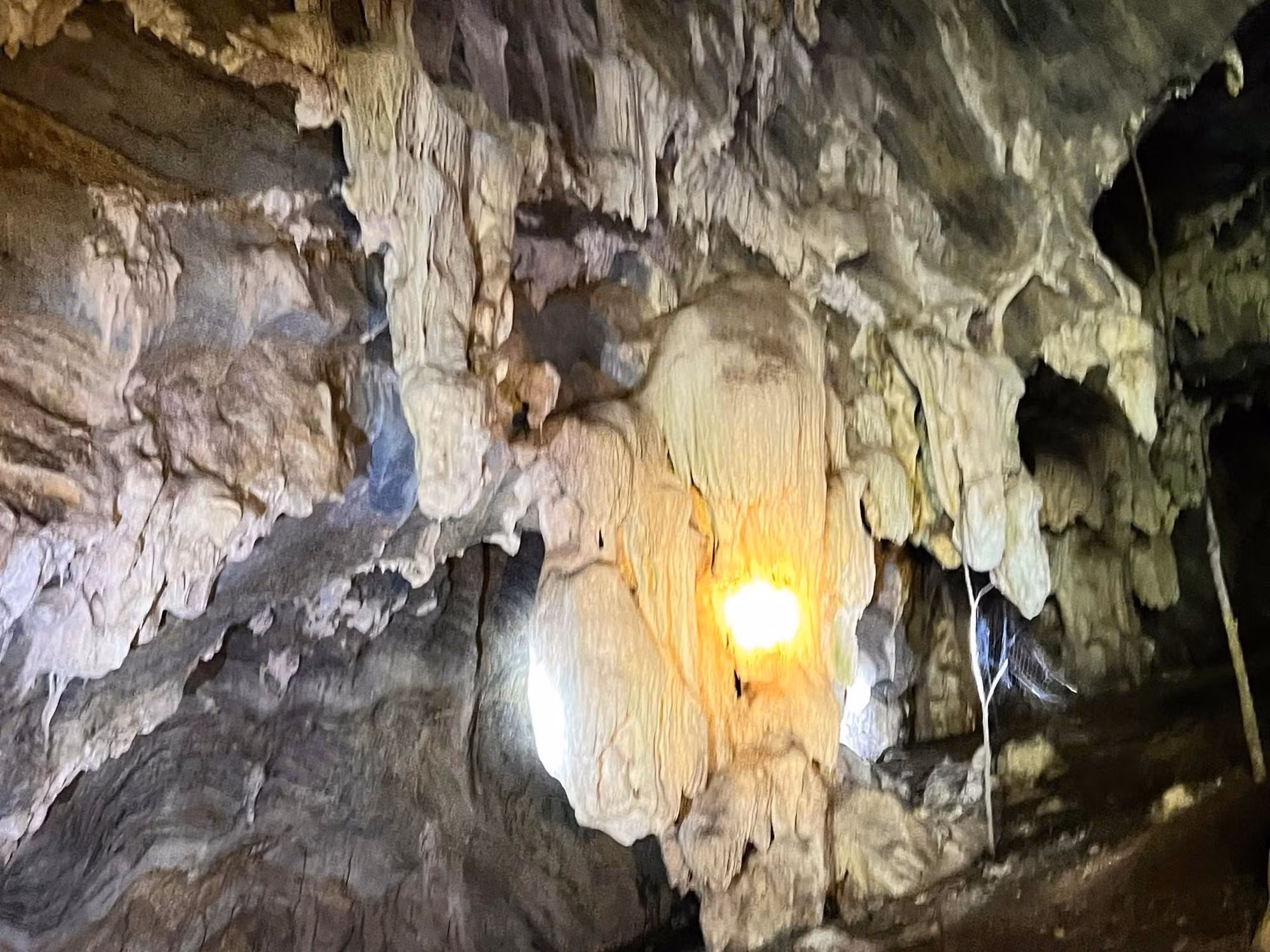 La lumière des lampes torches met en évidence les surfaces des concrétions calcaires qui réfléchissent la lumière à l’intérieur de la grotte. Photo : CSCC.