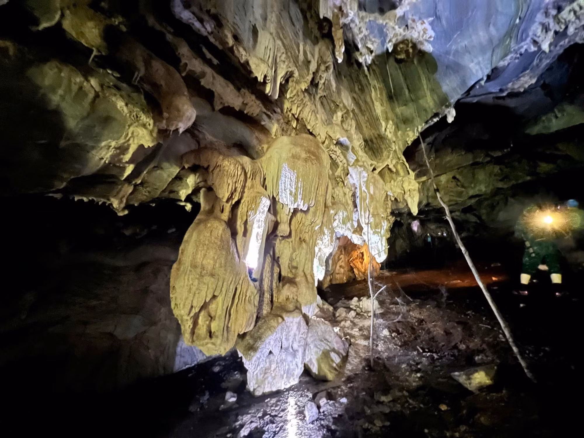 Une grotte aux multiples niveaux de stalactites découverte au cœur d’une forêt de Nghe An ảnh 4 Une grotte aux multiples niveaux de stalactites découverte au cœur d’une forêt de Nghe An ảnh 4