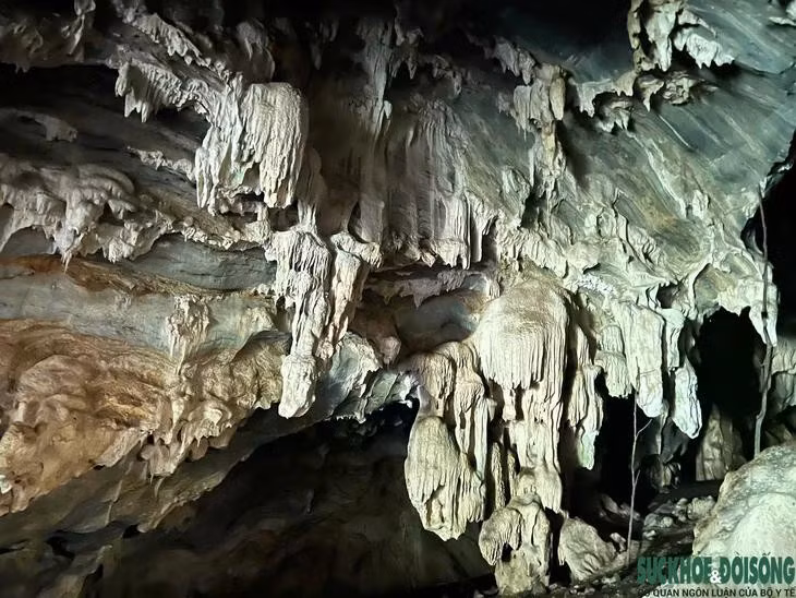 La grotte se trouve au cœur d’une forêt naturelle, dans le secteur forestier n° 4, sous-secteur n° 666, commune de Tam Thai, province de Nghe An. Photo : CSCC.