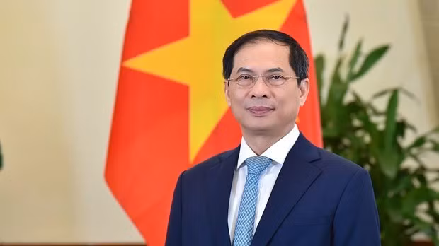 Le ministre des Affaires étrangères, Bui Thanh Son. Photo: baoquocte.vn