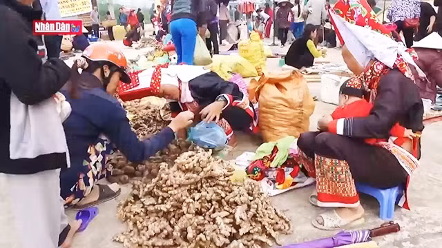 À la découverte des marchés de Binh Liêu à Quang Ninh