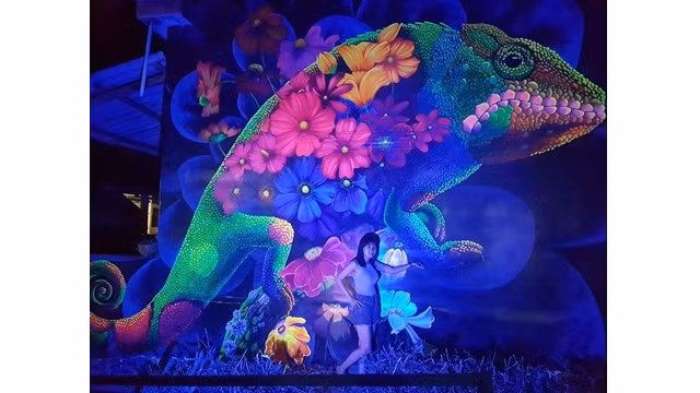 Un tableau scintillant et lumineux attire les visiteurs. Photo: dulich.vn
